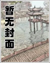 八方旅人（西幻，np）